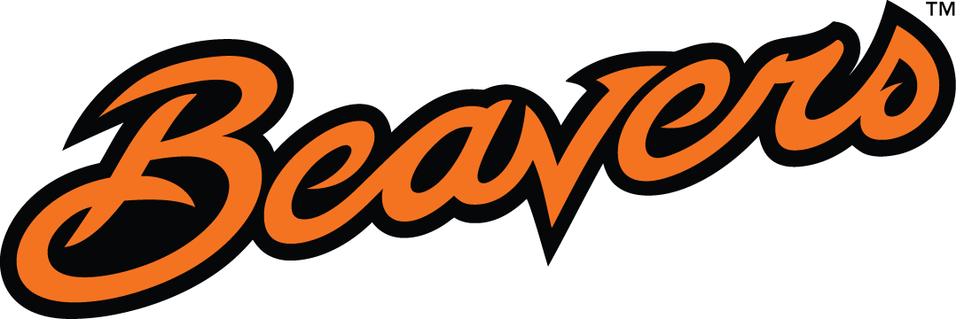 Oregon State Beavers 2013-Pres Wordmark Logo DIY iron on transfer (heat transfer)